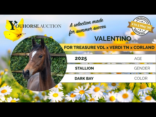 Valentino