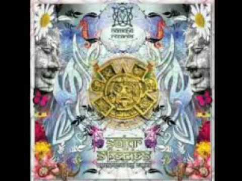 Psilocybe Project vs D Maniac-It Will Not Stop(Crazy Infected Mix)