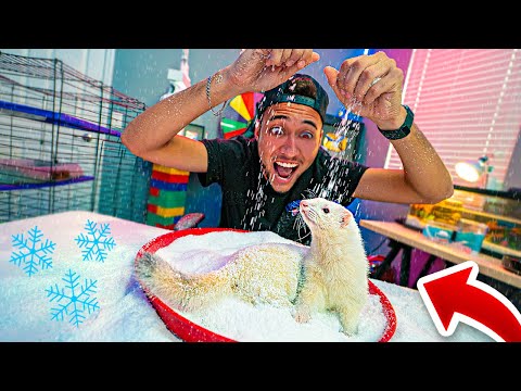 PRIMEIRA VEZ do MEU FURÃO BRINCANDO com NEVE