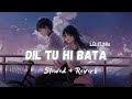 Dil Tu Hi Bata Lofi Slowed Reverb Krrish Sudhanshu Editz 2 0