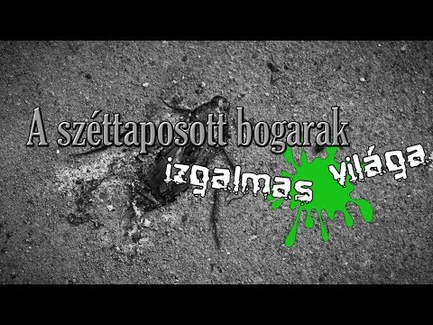 bronzovka bogár paraziták