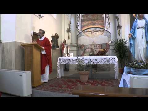 Omelia di Don Franco, Domenica delle Palme