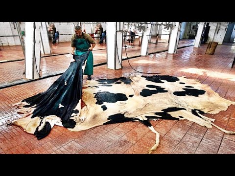 YouTube video about Process of leather manufacturing