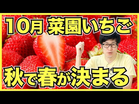 種まきに関する10の質問と回答 トピックス