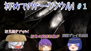 【ダークソウル　リマスター】ユウさんの魔性払い　１