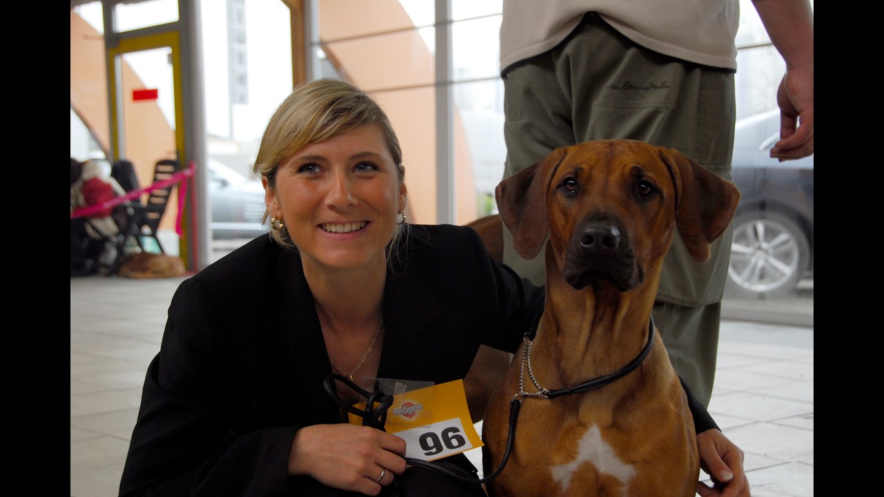 Rhodesian Ridgeback - My Guardian