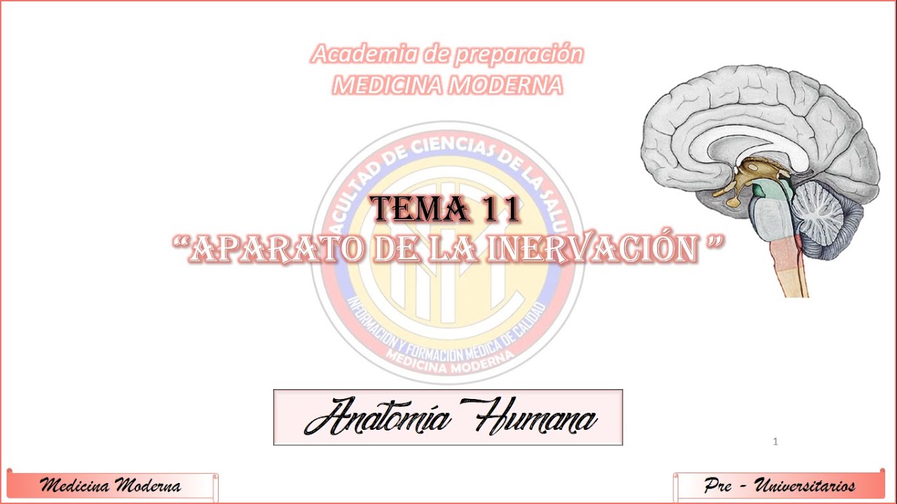 TEMA 11 SISTEMA DE LA INERVACION (PARTE 1)
