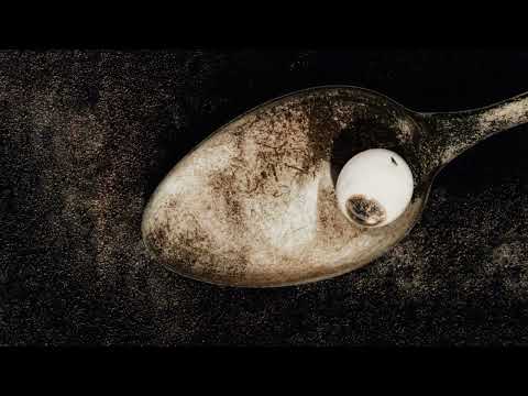 Videoclip de There Goes My Gun (John Peel Session 9th October 1988) — Pixies