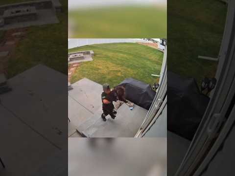 This little boy cares about his dog more than himself ❤️