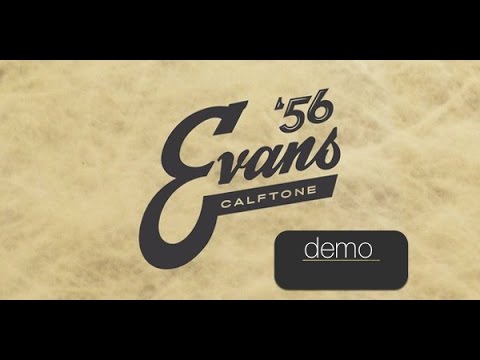 Миниатюра изображения товара Пластик для барабана Evans TT18C7