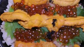 【66S FUSION】Sushi Bar/Japenese Food/Sashimi/Omakase/New York Restaurant/Heart of Brooklyn/最高の料理