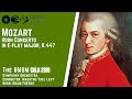 W.A Mozart - Horn Concerto in E-flat major, K.447 - The BMSM Symphony Orchestra