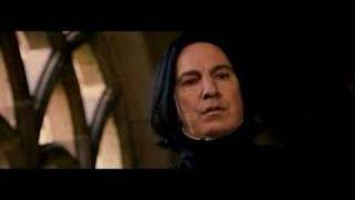 Staring contest: Harry Potter vs. Snake