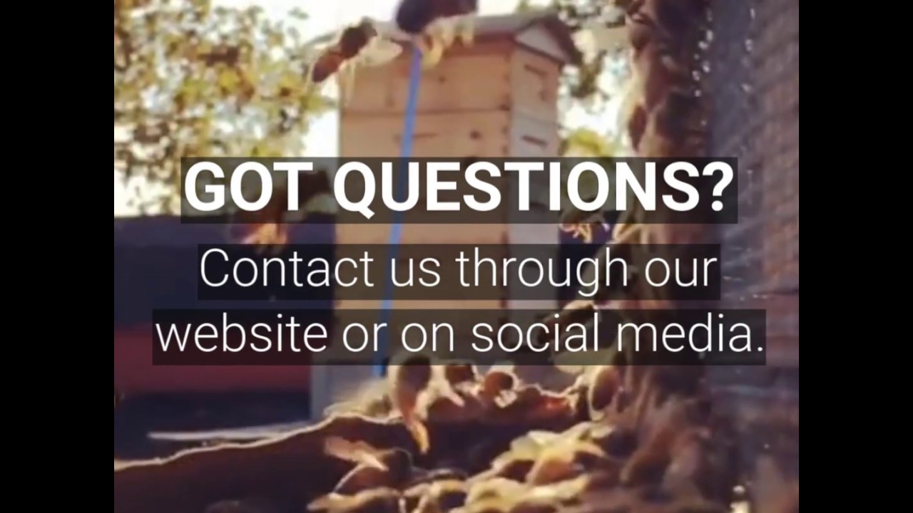 Beginners Beekeeping Course at Astor Apiaries