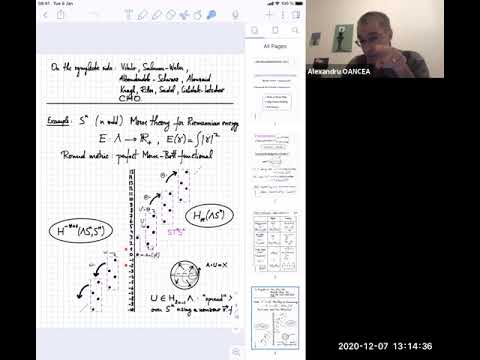 Alexandru Oancea: Aspects of Duality for Rabinowitz-Floer Homology  (NCSGS, December 7, 2020)