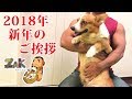 2018年 新年のご挨拶【zakのショートムービー】