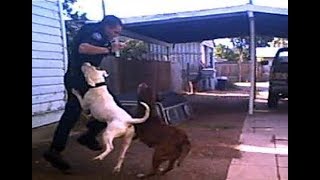 Police officer saves a dog from pitbull!!!