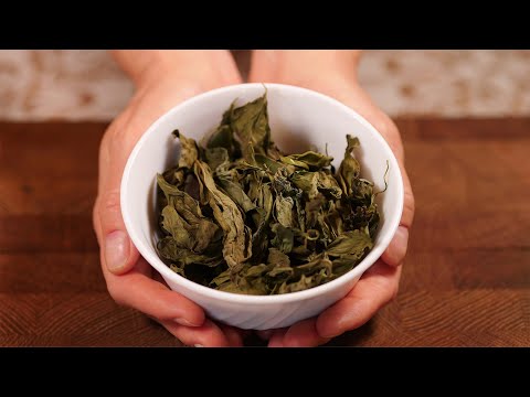 Warum sterben? Diese heilige Pflanze wird viele Krankheiten heilen!