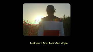 Nekfeu ft.Spri Noir -Ma dope LYRICS