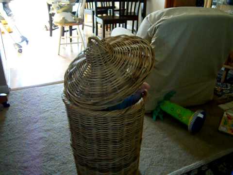 Johannes and the Basket