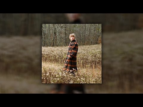 Taylor Swift - willow (sped up)
