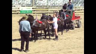 preview picture of video 'Annapolis Valley Exhibition 2010'