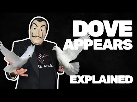 DOVE MAGIC TRICK EXPLANATION 🕊️