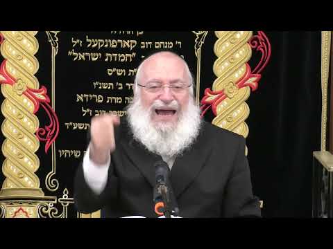 NEW: Short Thought on Parshas Behaaloscha | By Rav Asher Weiss Shlit"a (5785)