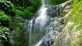 preview picture of video 'Wonderful Waterfall Shimla || Chaupal || Juru Nala'
