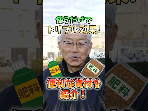 この夏の果物や野菜の発育を促進するために、菜園で木の灰をどのように使用しますか?  庭園
