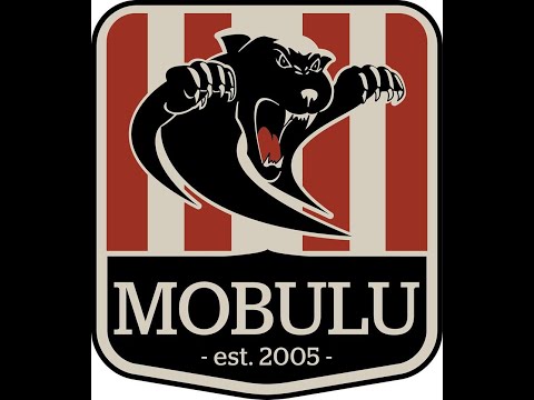 LIVESTREAM - Mobulu Uni Futsal Bern vs. Futsalclub Lion