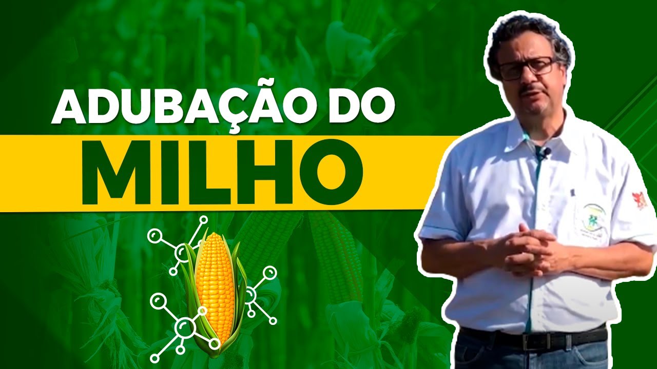 Dicas para uma boa Adubação do milho  - Prof João Carlos Galvão 🌽