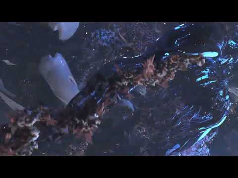 Sam Shure - Division (Official Visualizer)