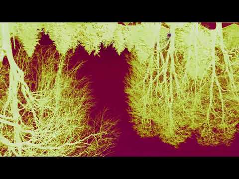 ceephax / death grips mashup vid