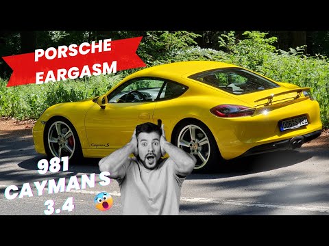 PORSCHE EARGASM - 981 CAYMAN S FLAT SIX