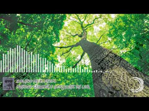 Bolero Meus Netos (digital)