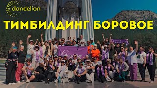 Тимбилдинг лидеров Dandelion в Боровом