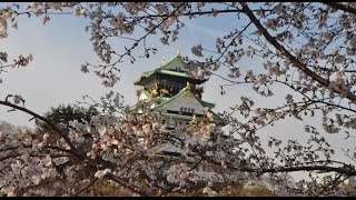 Top10 Recommended Hotels in Osaka, Japan