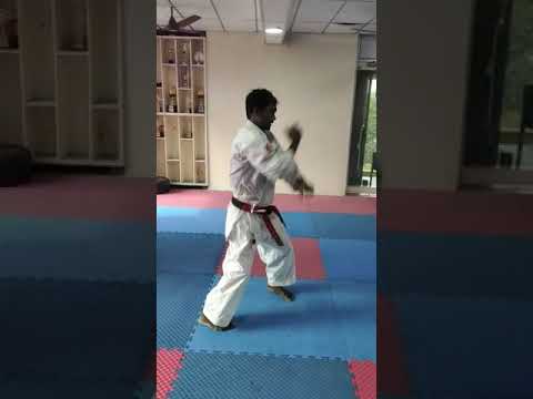 GOJU RYU KATA - GEKISAI DAI NI