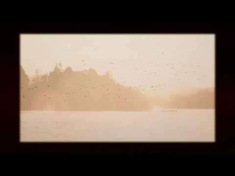 The Lost Brothers - Where The Shadow Goes (official)