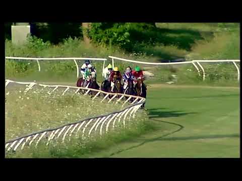 Napoli Galoppo 22/07/2022 - 4ª corsa