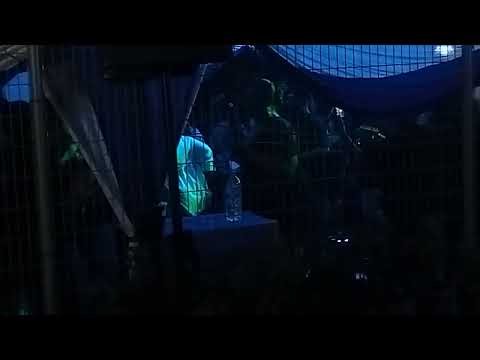 UBS BAND - Moh Beraya (Jamal Abdillah & Shiha Zikir cover)