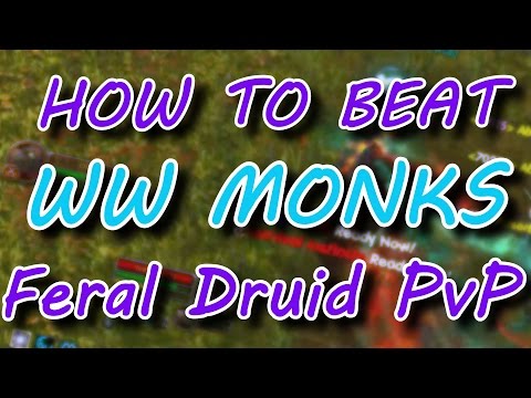 How to beat Windwalker Monks // 7.0.3 WoW Legion Feral Druid Dueling Guide