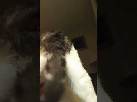 I don't know what to do