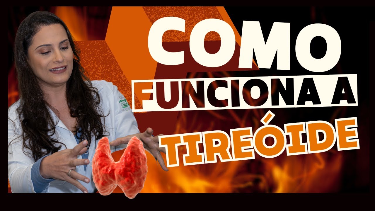 Anatomia e Fisiologia da Tireóide  (Hipertireoidismo/hipertireoidismo)
