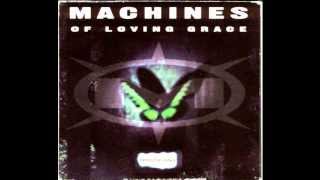 Machines Of Loving Grace - Butterfly Wings (Sank Remix)