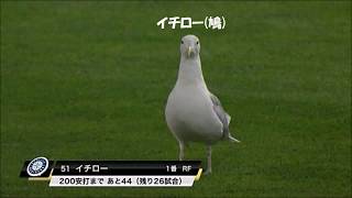 吹いたら負け 外国人が本気で歌う残酷な天使のテーゼが面白すぎたｗ أغاني Mp3 مجانا