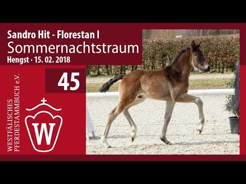 45 Sommernachtstraum HF v. Sandro Hit - Florestan I