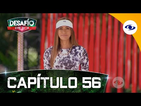 Chapter 56: The new Alpha and the new Beta begin the recharged stage - The Box Challenge