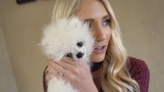 OUR PUPPY RAN AWAY...